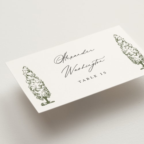 This is a olive wedding place cards with standard by Sarah Brown called vineyard printing on signature in placecard