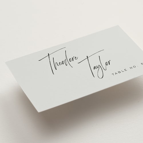 This is a mint wedding place cards with standard by Michelle Taylor called signature script printing on signature in placecard