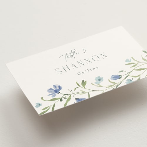 This is a aquamarine wedding place cards with standard by Everett Paper Goods called sweeping meadow printing on signature in placecard