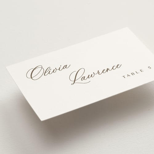 This is a latte wedding place cards with standard by Cara Scott called whimsy printing on signature in placecard