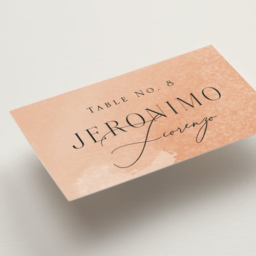 This is a blush wedding place cards with standard by Snow and Ivy called swept printing on signature in placecard