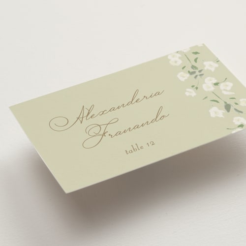 This is a mint wedding place cards with standard by Baumbirdy called rosebud printing on signature in placecard