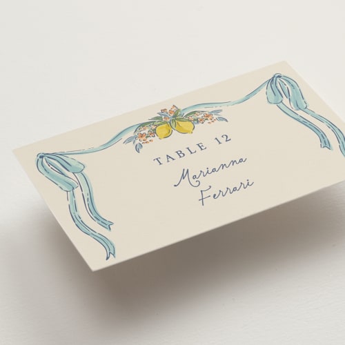 This is a aqua wedding place cards with standard by Chris Griffith called amalfi coast wedding printing on signature in placecard