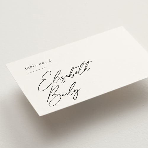 This is a snow wedding place cards with standard by Nicoletta Savod called macaron printing on signature in placecard