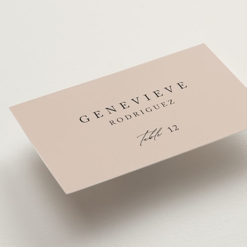 This is a rose blush wedding place cards with standard by Kelly Schmidt called astoria printing on signature in placecard