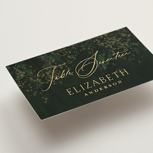 This is a mystic wedding place cards with standard by Phrosné Barwood called new orleans from disney's princess and the frog printing on signature in placecard