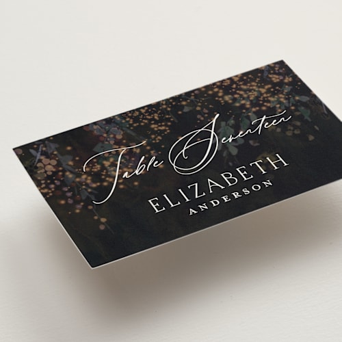 This is a midnight wedding place cards with standard by Phrosné Barwood called new orleans from disney's princess and the frog printing on signature in placecard