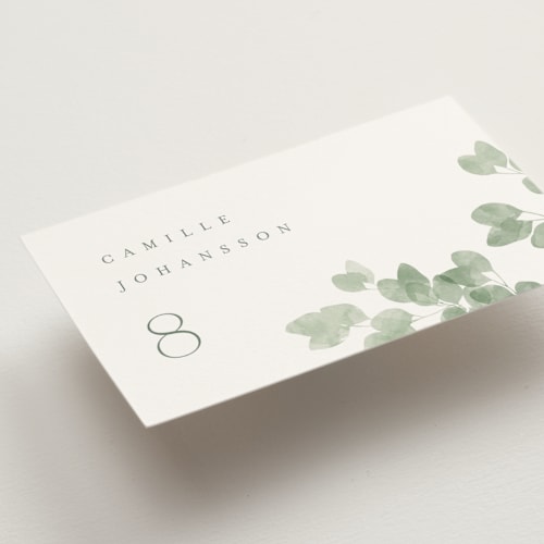 Eucalyptus color: Detail