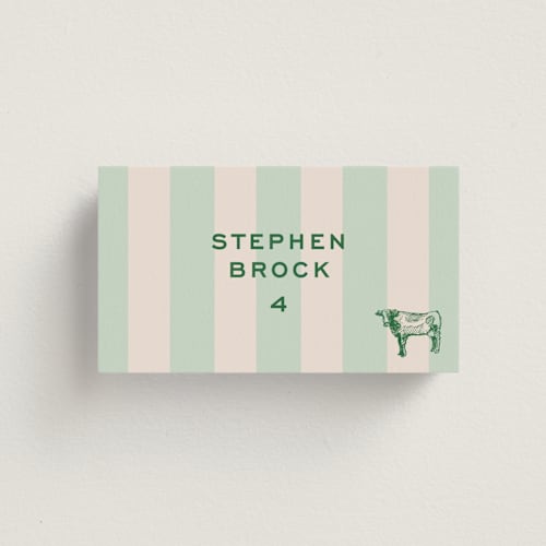 This is a mint wedding place cards with standard by Megan Davis called rhode printing on signature in placecard