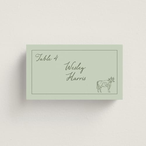 This is a mint wedding place cards with standard by Sherley Ferreira called olive printing on signature in placecard