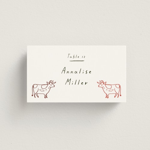 This is a rainbow wedding place cards with standard by Ani Somi called bon vivant printing on signature in placecard