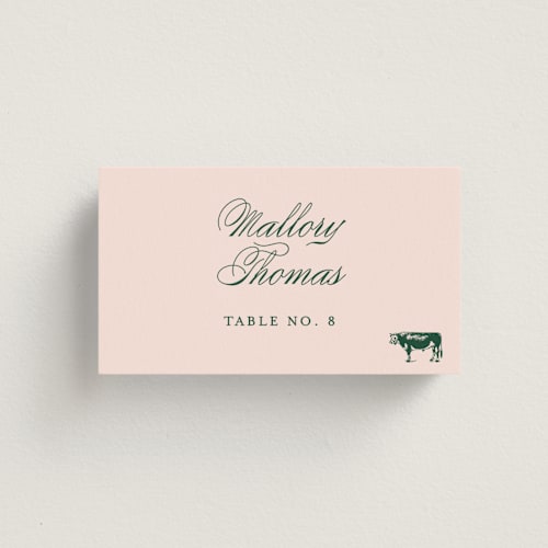 This is a rose wedding place cards with standard by Megan Davis called hepburn printing on signature in placecard