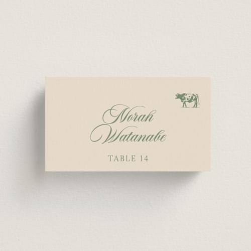 This is a spruce wedding place cards with standard by Ashley Nicole called preppy stripes printing on signature in placecard