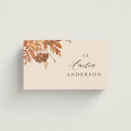 This is a rust wedding place cards with foil pressed by Chris Griffith called wedding in aspen printing on signature in placecard