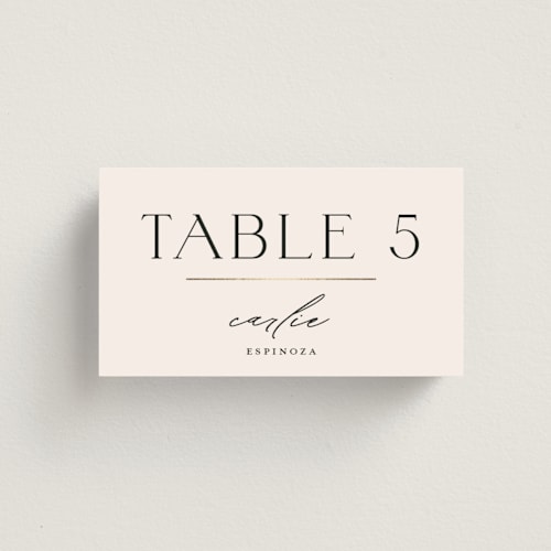 This is a latte wedding place cards with foil pressed by Christie Garcia called modernist monogram printing on signature in placecard
