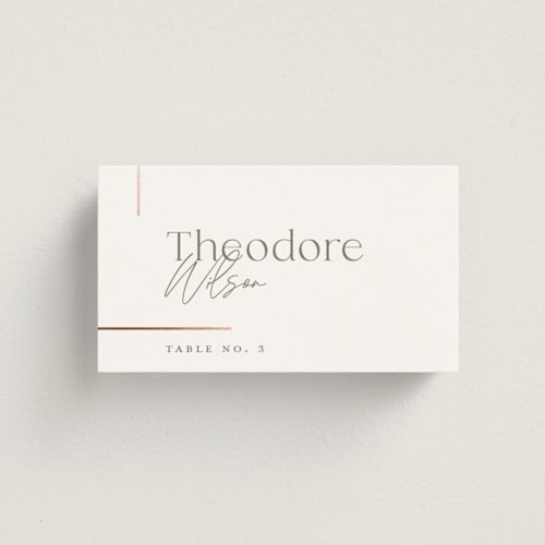 This is a snow wedding place cards with foil pressed by Michelle Taylor called simple lines printing on signature in placecard