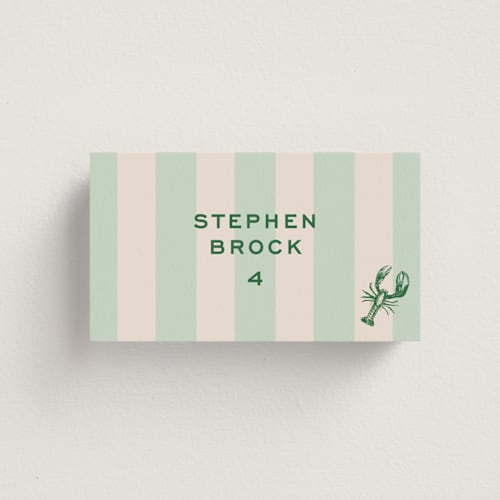 This is a mint wedding place cards with standard by Megan Davis called rhode printing on signature in placecard