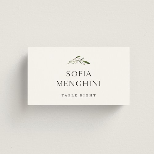 This is a cotton wedding place cards with standard by Jennifer Postorino called gentle whisper printing on signature in placecard
