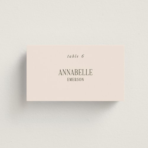 This is a blush wedding place cards with standard by Pati Cascino called fero printing on signature in placecard
