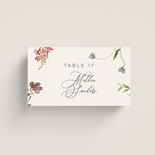 This is a sherbert wedding place cards with standard by Erin Hodges called untied printing on signature in placecard