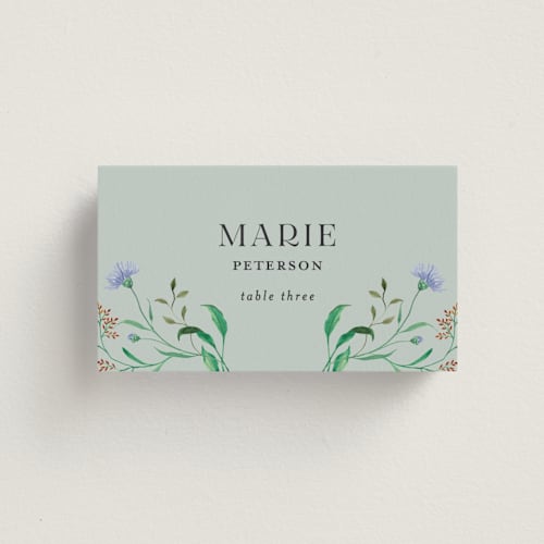 This is a mint wedding place cards with standard by Sarah Knight called wild meadow printing on signature in placecard