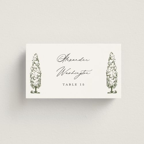 This is a olive wedding place cards with standard by Sarah Brown called vineyard printing on signature in placecard