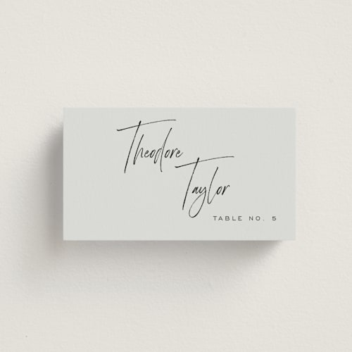 This is a mint wedding place cards with standard by Michelle Taylor called signature script printing on signature in placecard