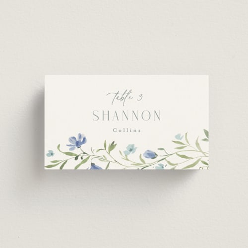 This is a aquamarine wedding place cards with standard by Everett Paper Goods called sweeping meadow printing on signature in placecard