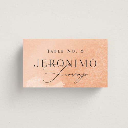 This is a blush wedding place cards with standard by Snow and Ivy called swept printing on signature in placecard
