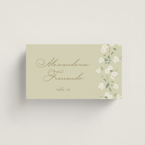 This is a mint wedding place cards with standard by Baumbirdy called rosebud printing on signature in placecard