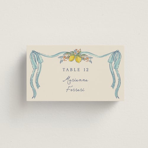 This is a aqua wedding place cards with standard by Chris Griffith called amalfi coast wedding printing on signature in placecard