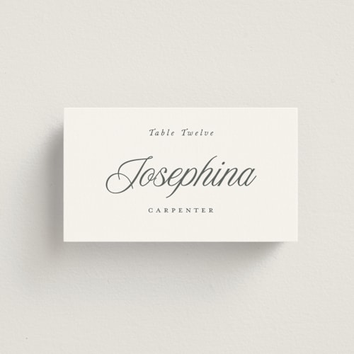 This is a graphite wedding place cards with standard by Leah Bisch called beautiful day printing on signature in placecard