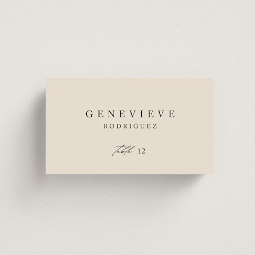 This is a linen wedding place cards with standard by Kelly Schmidt called astoria printing on signature in placecard