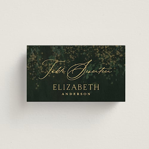 This is a mystic wedding place cards with standard by Phrosné Barwood called new orleans from disney's princess and the frog printing on signature in placecard