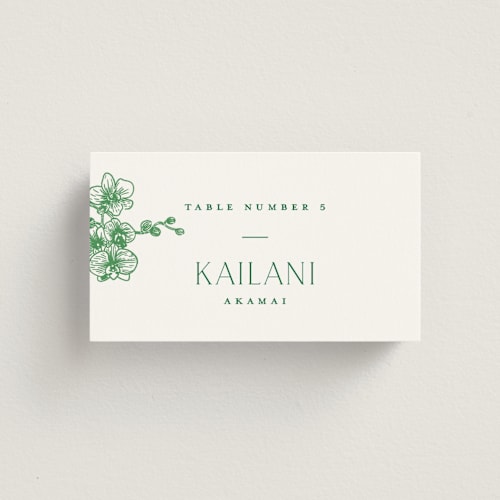 This is a jade wedding place cards with standard by Jenna Holcomb called tropical toile printing on signature in placecard