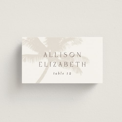 This is a ecru wedding place cards with standard by AK Graphics called palm printing on signature in placecard