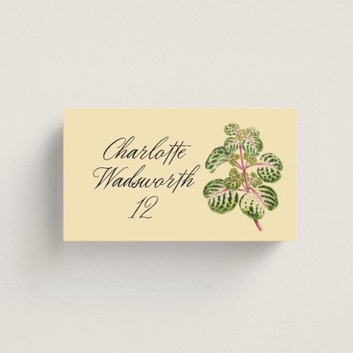 This is a apple wedding place cards with standard by Kamala Nahas called vintage flower printing on signature in placecard