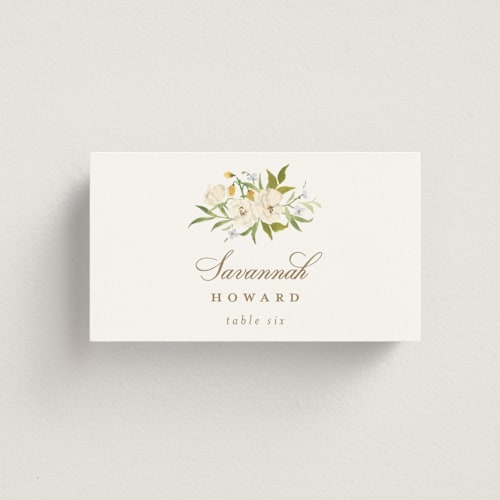 This is a chiffon wedding place cards with standard by Everett Paper Goods called avalon printing on signature in placecard