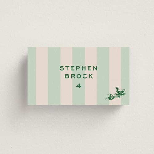 This is a mint wedding place cards with standard by Megan Davis called rhode printing on signature in placecard