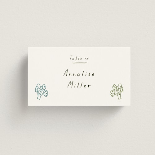 This is a rainbow wedding place cards with standard by Ani Somi called bon vivant printing on signature in placecard