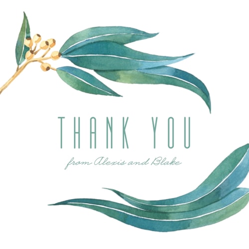 This is a eucalyptus thank you postcards by Shannon Chen of Four Wet Feet Studio called eucalyptus leaves printing on signature in postcard