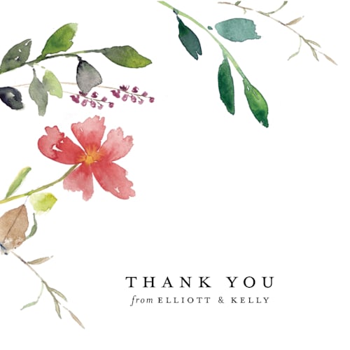 This is a floral thank you postcards by Mere Paper called spring wildflowers printing on signature in postcard