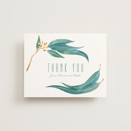 This is a eucalyptus thank you postcards by Shannon Chen of Four Wet Feet Studio called eucalyptus leaves printing on signature in postcard