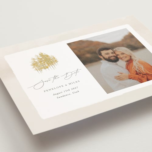 This is a natural save the date postcards with standard by Robert and Stella called aspen printing on signature in postcard
