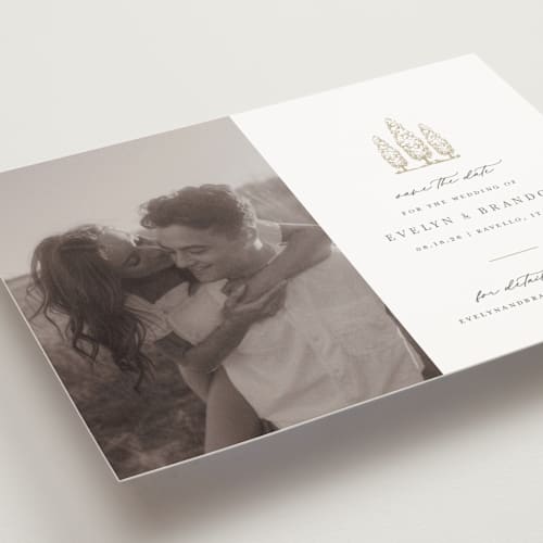 This is a champagne save the date postcards with standard by Sarah Brown called arborvitae printing on signature in postcard