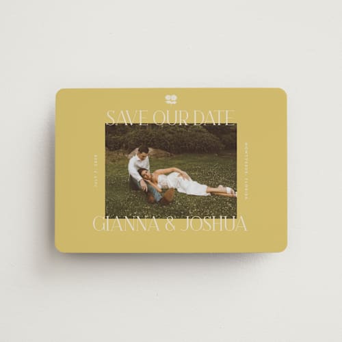 This is a summer citrus save the date magnets with standard by Vera Lim called the gallery printing on magnet paper in magnet