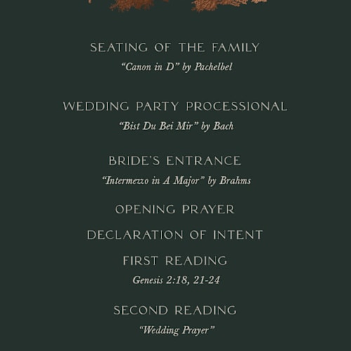 This is a thicket unique wedding programs with foil pressed by Robin Ott called vista printing on signature in 4x9