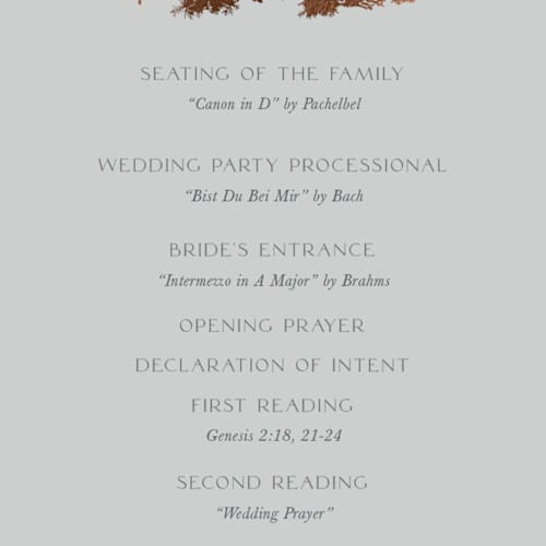 This is a snow cloud unique wedding programs with foil pressed by Robin Ott called vista printing on signature in 4x9