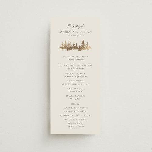 This is a fallen snow unique wedding programs with foil pressed by Robin Ott called vista printing on signature in standard