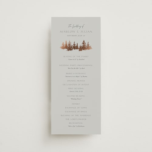 This is a snow cloud unique wedding programs with foil pressed by Robin Ott called vista printing on signature in 4x9